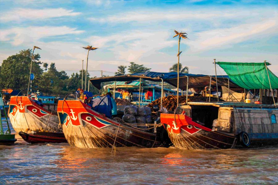 1 DAY CAN THO - AUTHENTIC FLOATING MARKET - TRA SU FOREST.HIB1DTS1 color