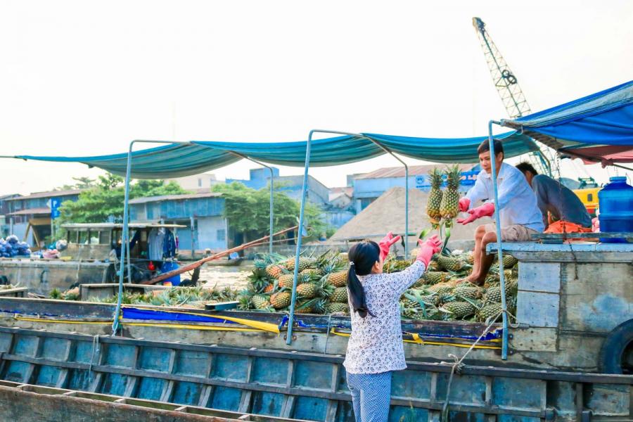 1 DAY CAN THO - AUTHENTIC FLOATING MARKET - TRA SU FOREST.HIB1DTS1 color