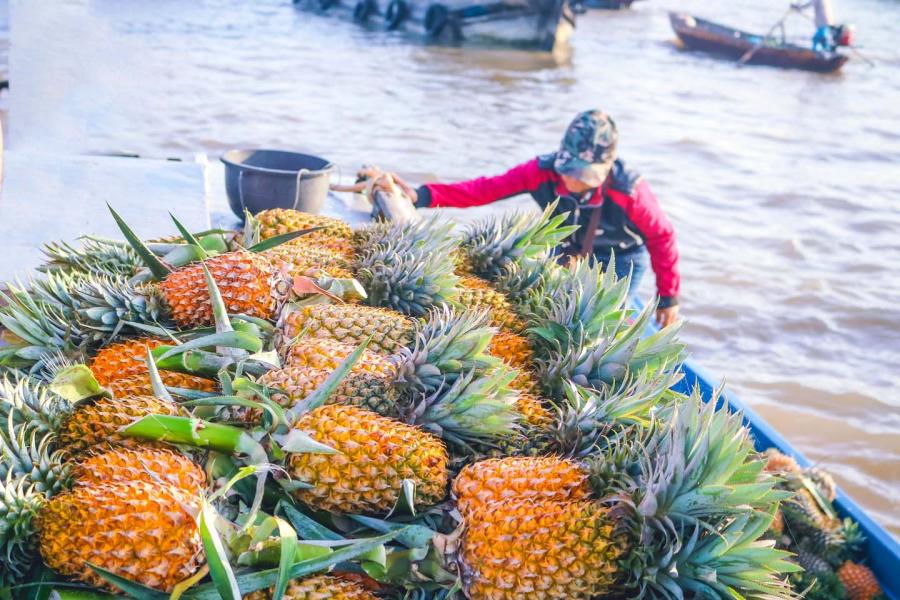 1 DAY CAN THO - AUTHENTIC FLOATING MARKET - TRA SU FOREST.HIB1DTS1 color