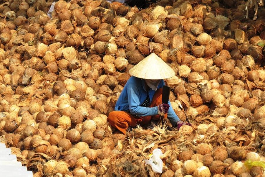 1 DAY CAN THO - BEN TRE - THE CAPITAL OF COCONUT TREE ADVENTURE– HIB1DCBT7 color