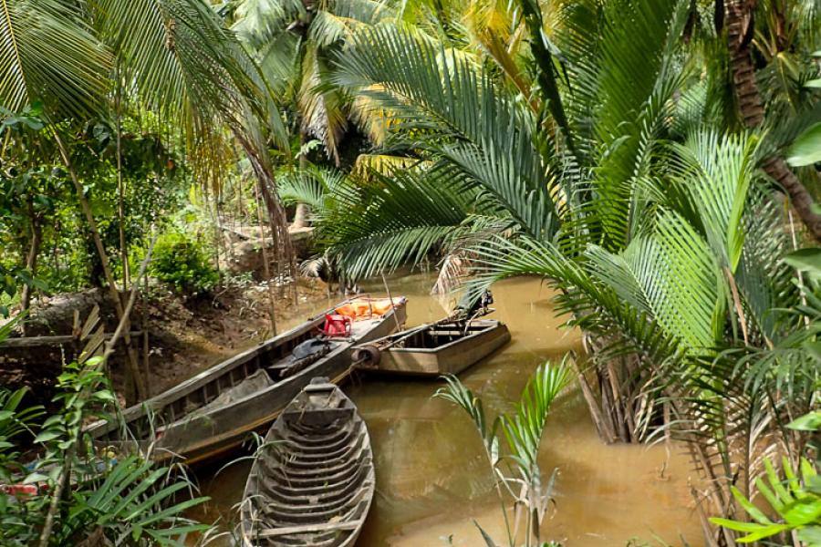 1 DAY CAN THO - BEN TRE - THE CAPITAL OF COCONUT TREE ADVENTURE– HIB1DCBT7 color