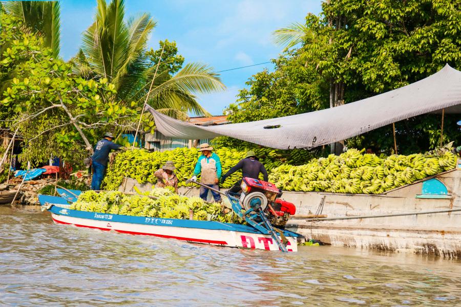 1 DAY SAIGON MEKONG DELTA CRUISING CYCLING - HIB1DSMC1 color