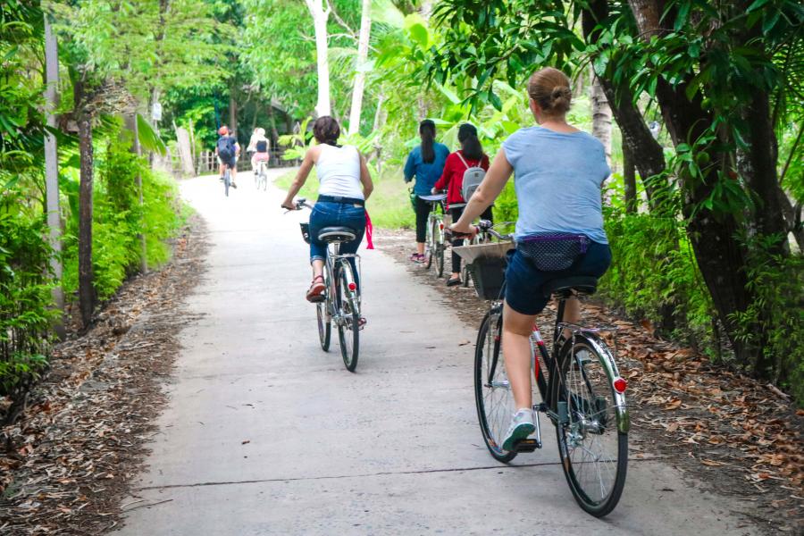 1 DAY SAIGON MEKONG DELTA CRUISING CYCLING - HIB1DSMC1 color