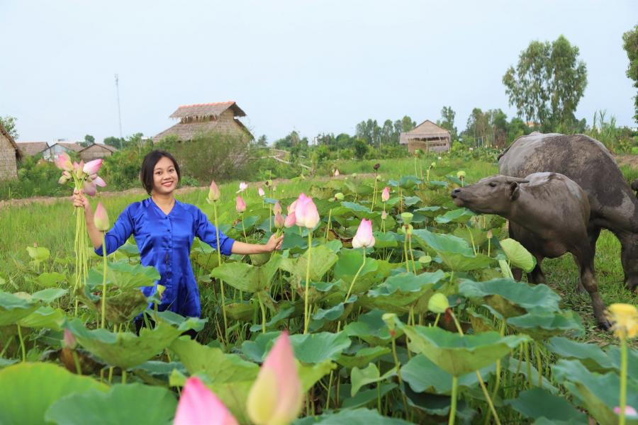 2 DAYS 1 NIGHT AN UNFORGETTABLE SOUTHERN TRIP : CAN THO - DONG THAP - HIB2DCTDTCS1 color