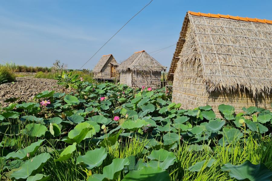 3-DAY 2 NIGHT FROM SAIGON TO MEKONG DELTA RURAL CHARMS RETREAT – HIB3DSTBCBT1 color