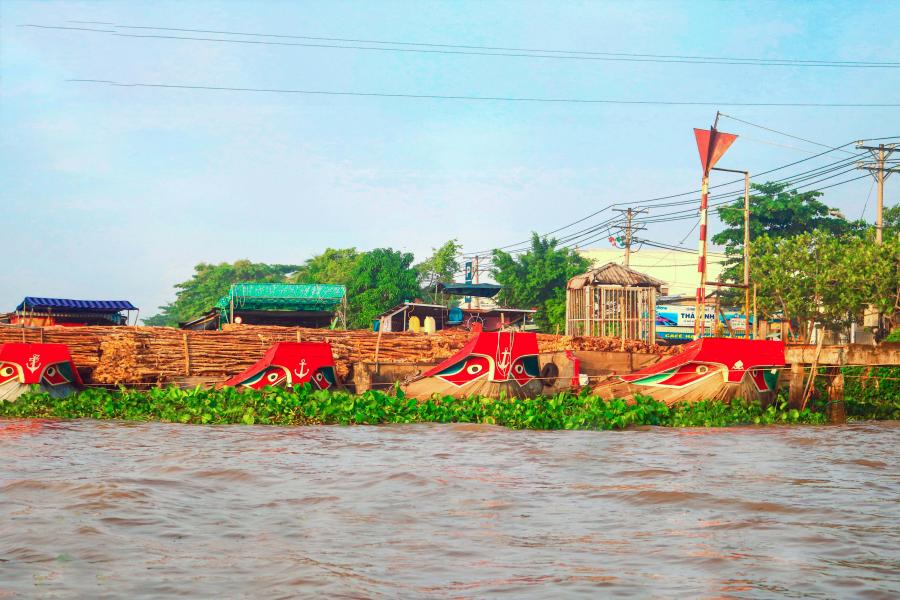 3 DAY CAN THO - MEKONG DELTA CULTURAL INSIGHTS color