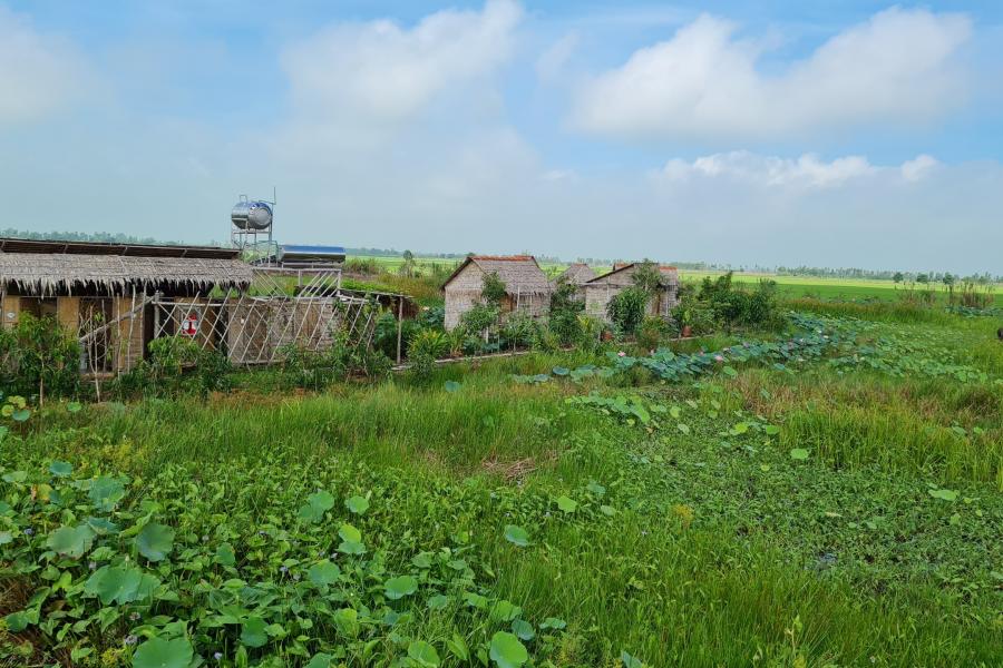 4-DAY EXPLORATION - RIVERSIDE RETREAT: UNVEILING THE CHARMS OF THE MEKONG DELTA – HIB4DCCDDS1 color