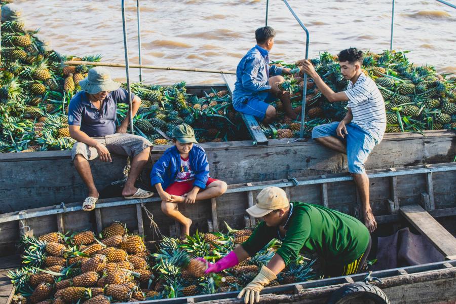 4 DAY SAIGON - CU CHI - MEKONG DELTA INSIDER - HIB4DMKIS1 color