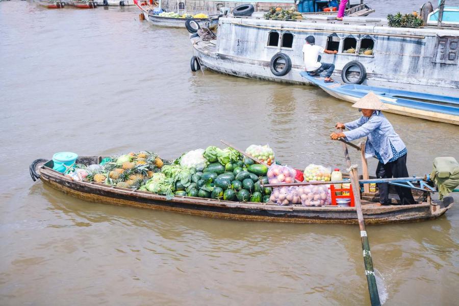 4 DAYS SAIGON - MEKONG DELTA - PHNOM PENH - ON CRUISE-HIB4DSCPP1 color