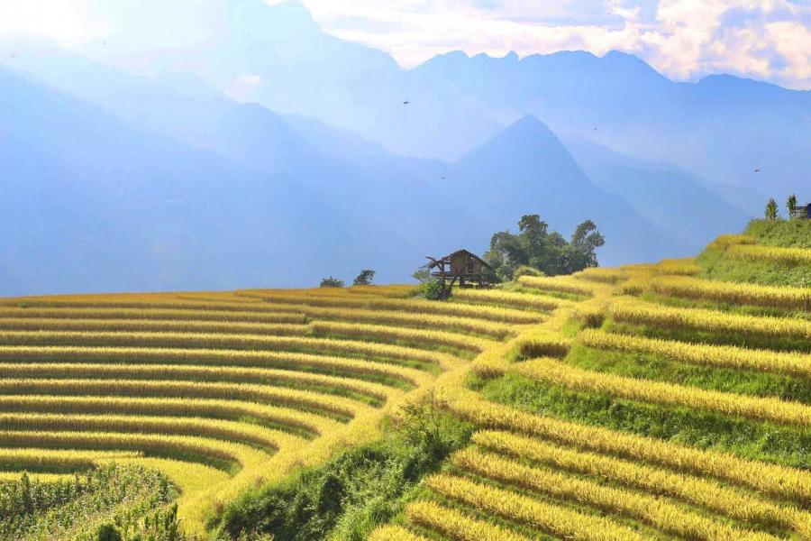 HA NOI – SAPA – HA LONG – YEN TU 7 DAYS 6 NIGHTS  – HIB7DNVN1 color