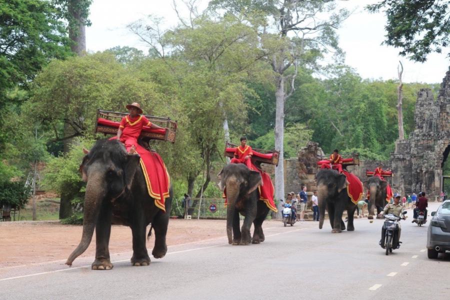 INCREDIBLE CAMBODIA TRIP 6 DAYS 5 NIGHTS -HOB6DMC5 color