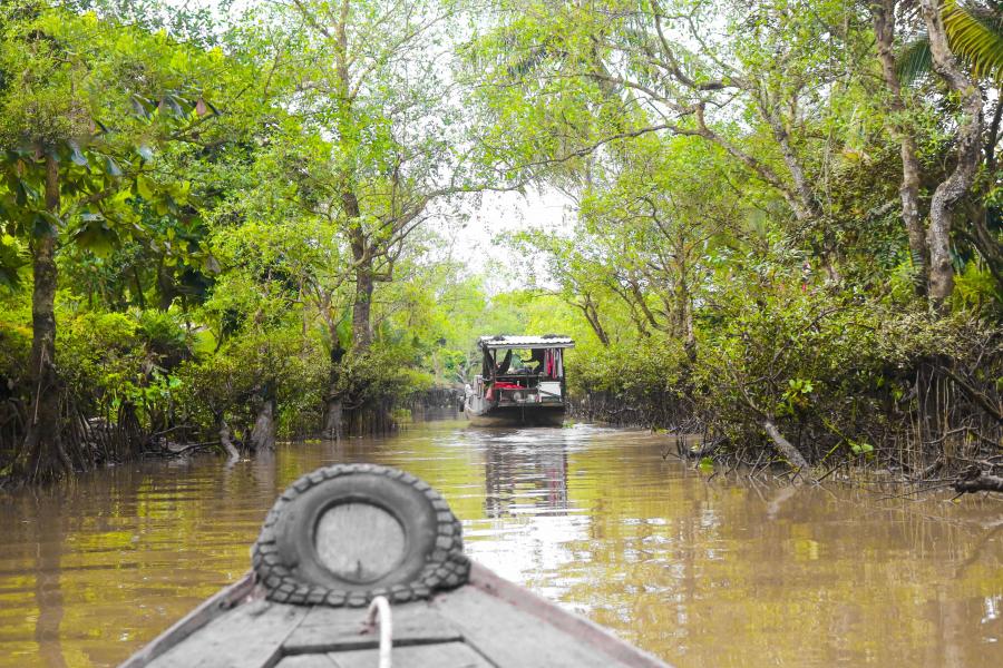 SAIGON - MEKONG DELTA ON CRUISE- SA DEC - AN BINH - SAIGON-HIB3DSCSAS2 color